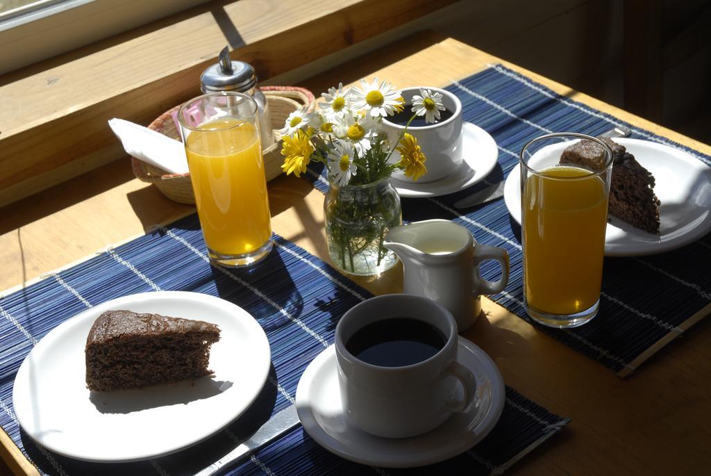 Bed and breakfast Nothofagus *